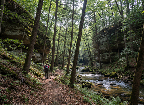 Sipsey Wilderness